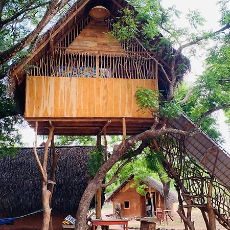 טיסמהרמה Yala Village Eco Tree House מראה חיצוני תמונה