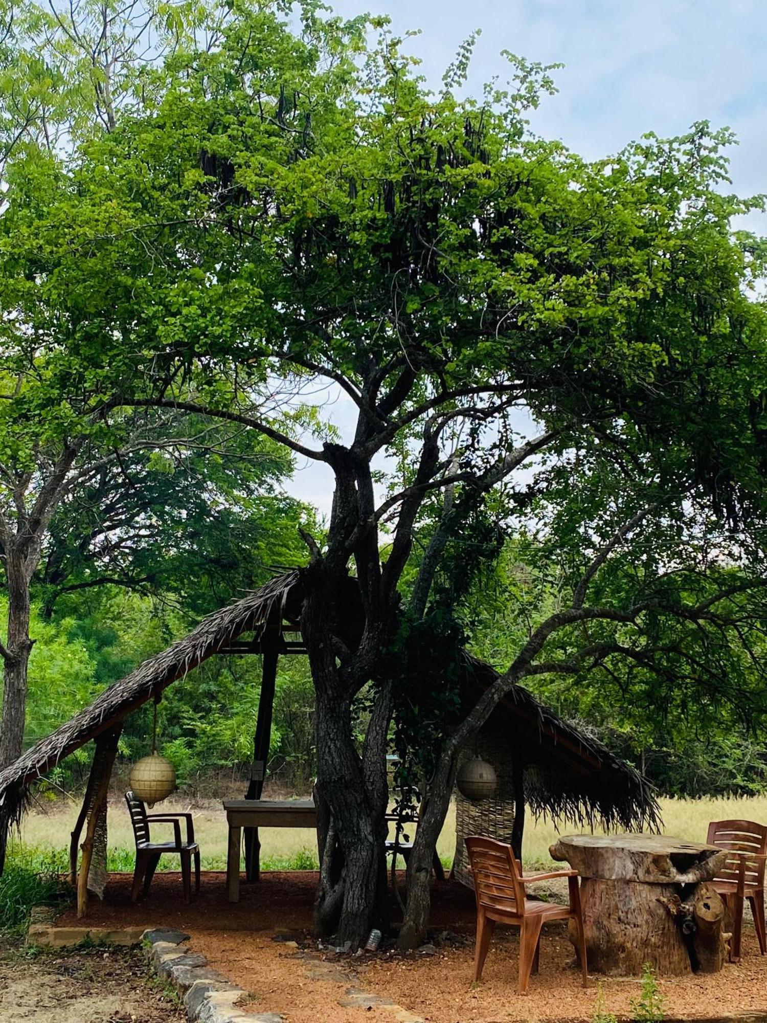 טיסמהרמה Yala Village Eco Tree House מראה חיצוני תמונה
