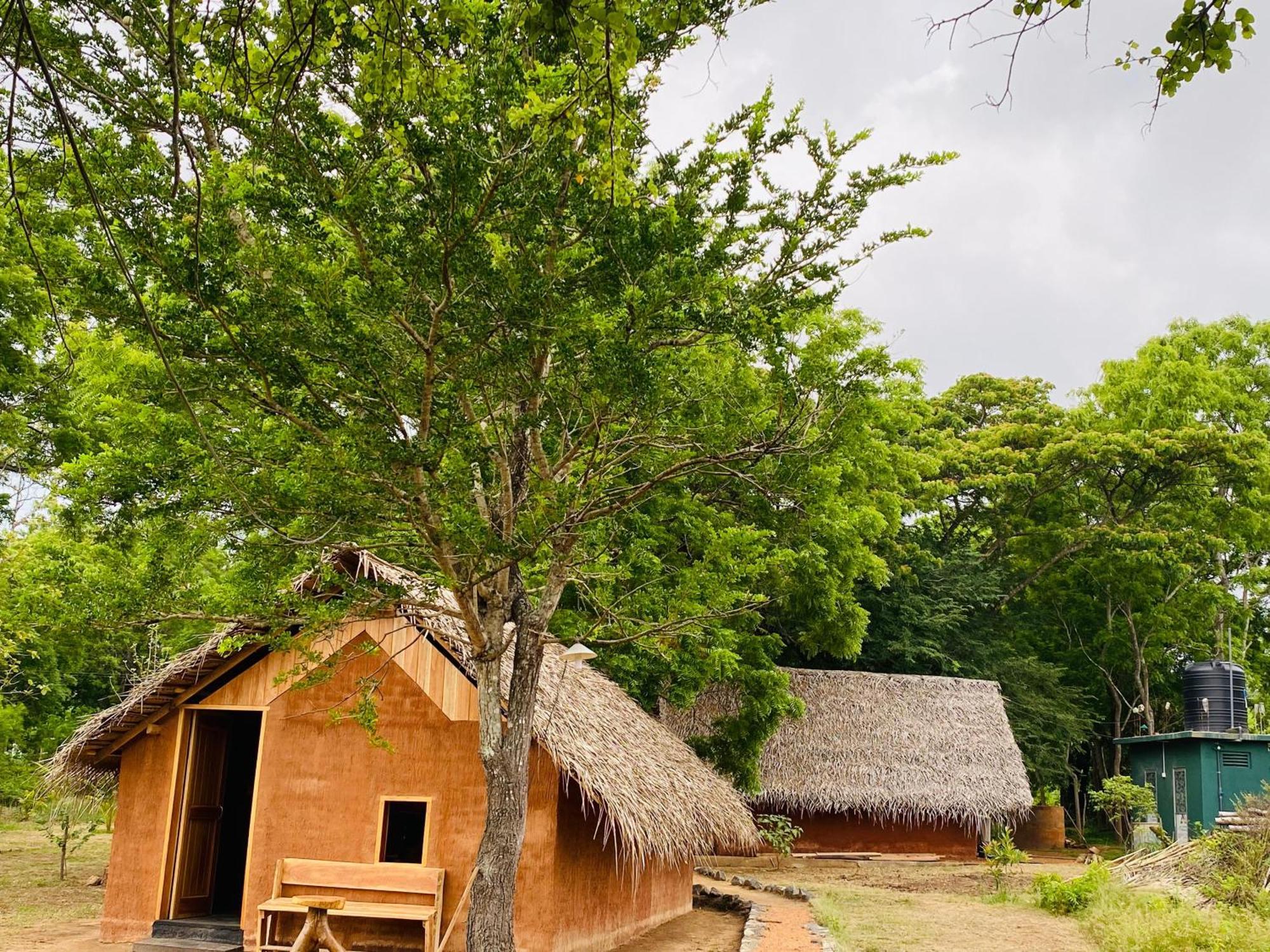 טיסמהרמה Yala Village Eco Tree House מראה חיצוני תמונה